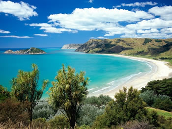 new zealand nature